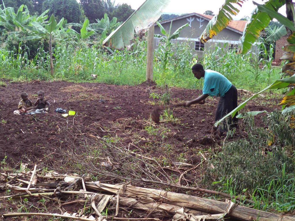 A mother digging with babies sitting on the ground. 