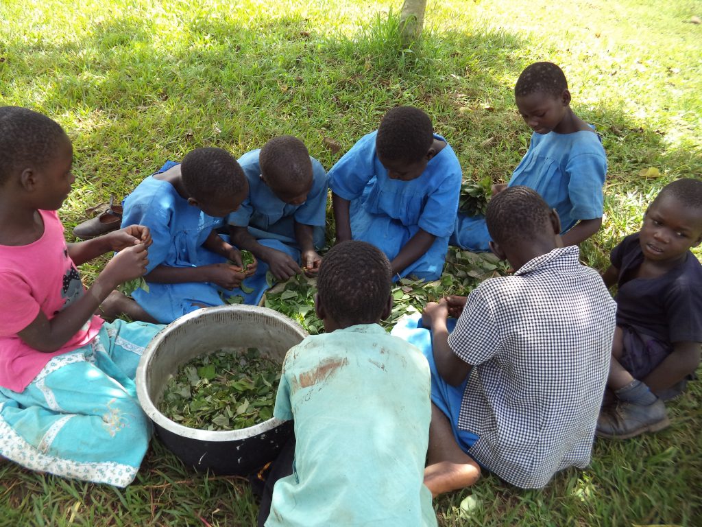 School kids preparing food for lunch